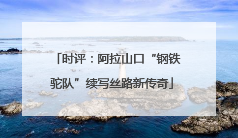 时评：阿拉山口“钢铁驼队”续写丝路新传奇