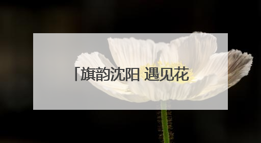 旗韵沈阳 遇见花样新生活！《旗遇秀——2025年度旗袍盛典》启幕！