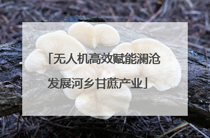 无人机高效赋能澜沧发展河乡甘蔗产业