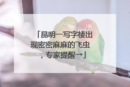 昆明一写字楼出现密密麻麻的飞虫，专家提醒→