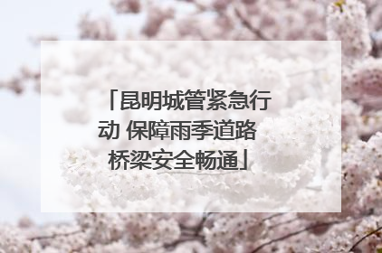 昆明城管紧急行动 保障雨季道路桥梁安全畅通