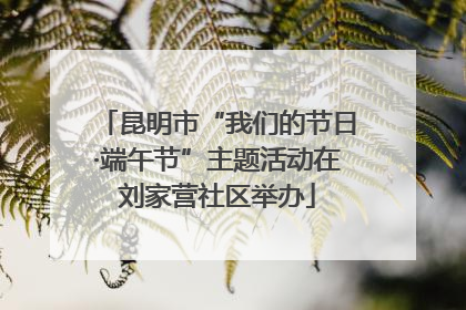 昆明市“我们的节日·端午节”主题活动在刘家营社区举办