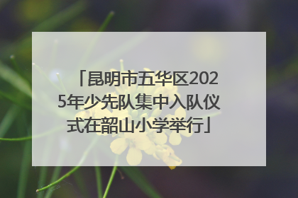 昆明市五华区2025年少先队集中入队仪式在韶山小学举行