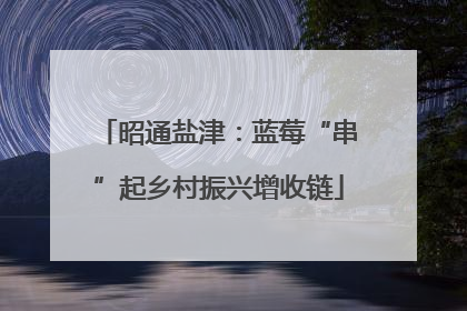 昭通盐津：蓝莓“串”起乡村振兴增收链