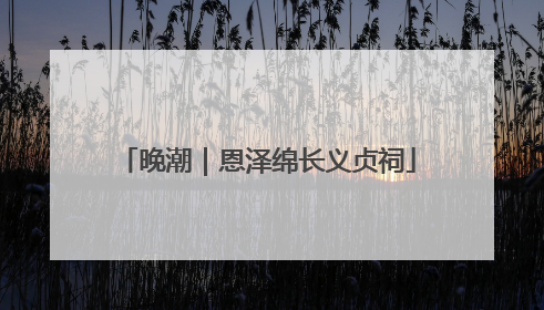 晚潮｜恩泽绵长义贞祠