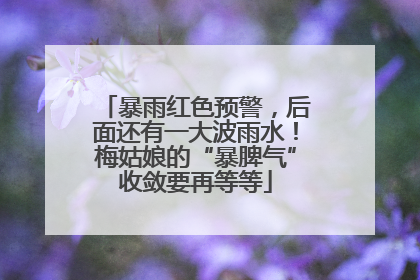 暴雨红色预警，后面还有一大波雨水！梅姑娘的“暴脾气”收敛要再等等