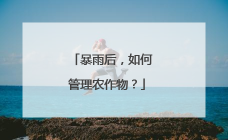 暴雨后，如何管理农作物？
