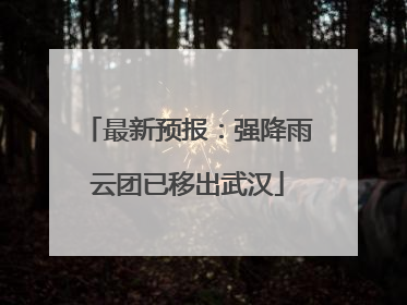 最新预报：强降雨云团已移出武汉