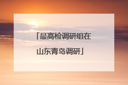 最高检调研组在山东青岛调研