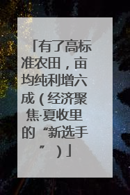 有了高标准农田，亩均纯利增六成（经济聚焦·夏收里的“新选手”）