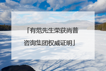 有范先生荣获尚普咨询集团权威证明