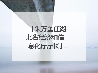 朱万奎任湖北省经济和信息化厅厅长