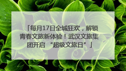 每月17日全城狂欢，解锁青春文旅新体验！武汉文旅集团开启 “超级文旅日”