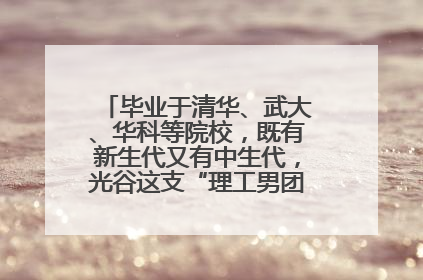 毕业于清华、武大、华科等院校，既有新生代又有中生代，光谷这支“理工男团”为何“出道”？