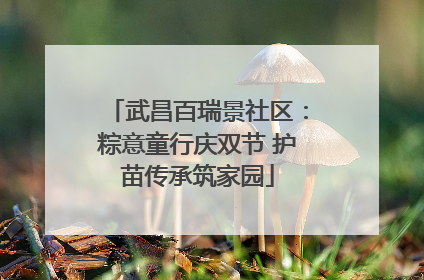 武昌百瑞景社区：粽意童行庆双节 护苗传承筑家园