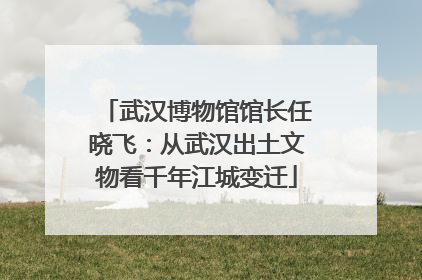 武汉博物馆馆长任晓飞：从武汉出土文物看千年江城变迁