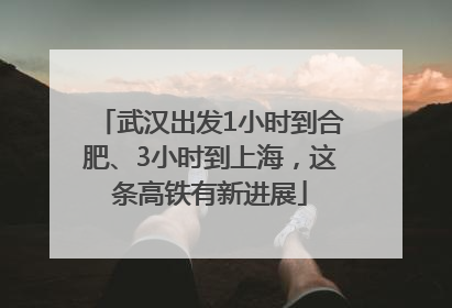 武汉出发1小时到合肥、3小时到上海，这条高铁有新进展