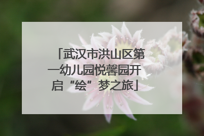 武汉市洪山区第一幼儿园悦馨园开启“绘”梦之旅