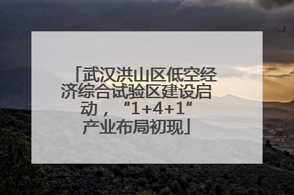 武汉洪山区低空经济综合试验区建设启动，“1+4+1”产业布局初现