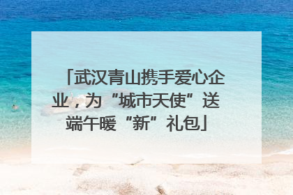 武汉青山携手爱心企业，为“城市天使”送端午暖“新”礼包