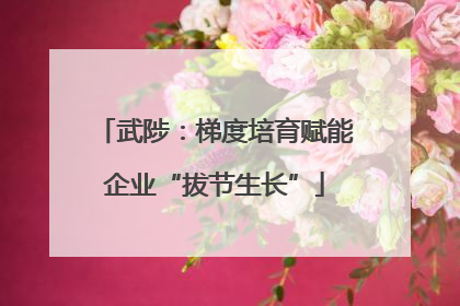 武陟：梯度培育赋能企业“拔节生长”