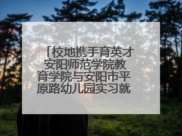 校地携手育英才 安阳师范学院教育学院与安阳市平原路幼儿园实习就业基地揭牌