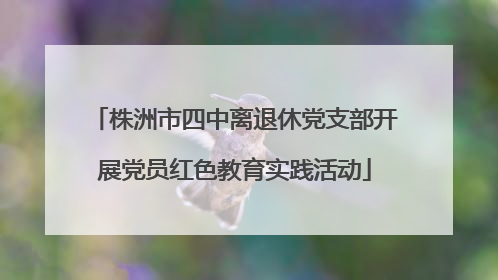 株洲市四中离退休党支部开展党员红色教育实践活动