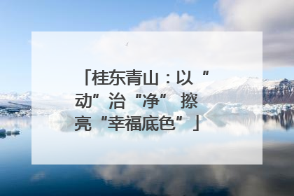 桂东青山：以“动”治“净” 擦亮“幸福底色”