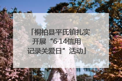 桐柏县平氏镇扎实开展“6·14信用记录关爱日”活动