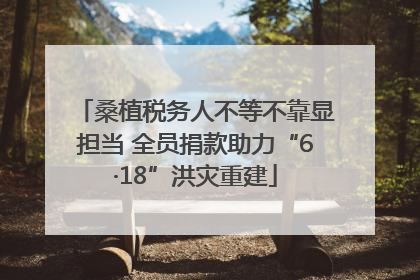 桑植税务人不等不靠显担当 全员捐款助力“6·18”洪灾重建