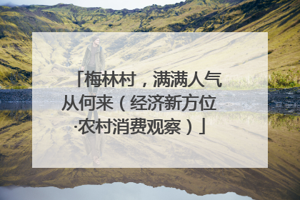 梅林村，满满人气从何来（经济新方位·农村消费观察）