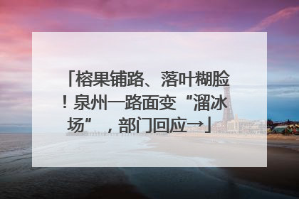 榕果铺路、落叶糊脸！泉州一路面变“溜冰场”，部门回应→