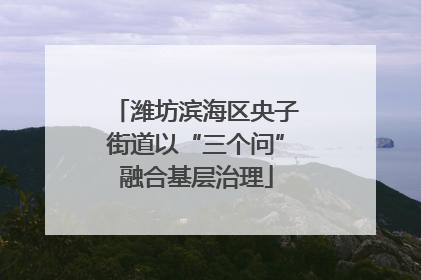 潍坊滨海区央子街道以“三个问”融合基层治理