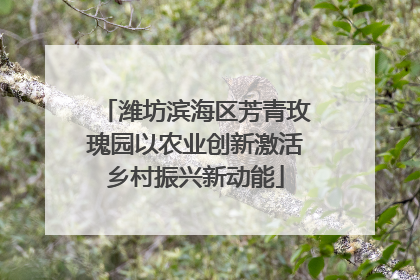 潍坊滨海区芳青玫瑰园以农业创新激活乡村振兴新动能