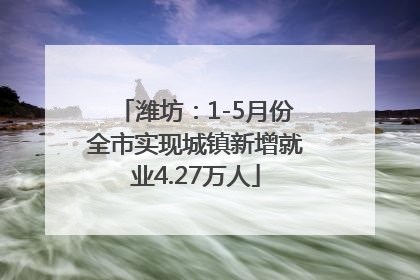 潍坊：1-5月份全市实现城镇新增就业4.27万人