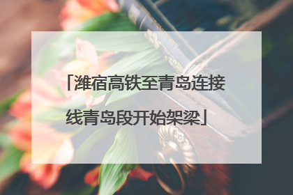 潍宿高铁至青岛连接线青岛段开始架梁