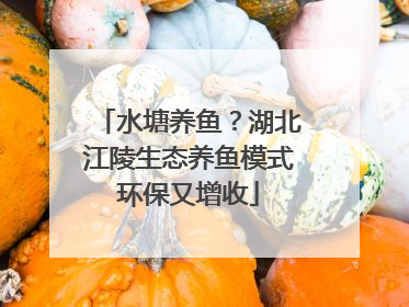 水塘养鱼？湖北江陵生态养鱼模式环保又增收