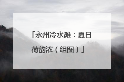 永州冷水滩：夏日荷韵浓（组图）