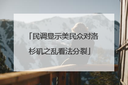 民调显示美民众对洛杉矶之乱看法分裂