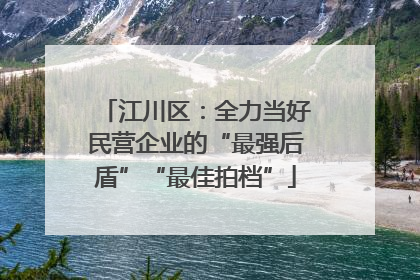 江川区：全力当好民营企业的“最强后盾”“最佳拍档”