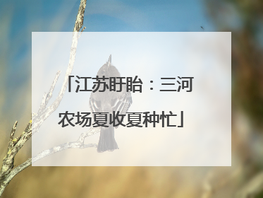 江苏盱眙：三河农场夏收夏种忙