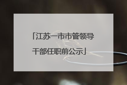 江苏一市市管领导干部任职前公示