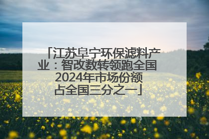 江苏阜宁环保滤料产业：智改数转领跑全国 2024年市场份额占全国三分之一