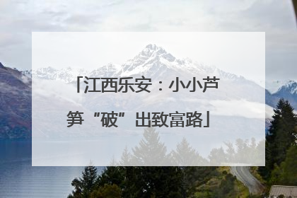 江西乐安：小小芦笋“破”出致富路