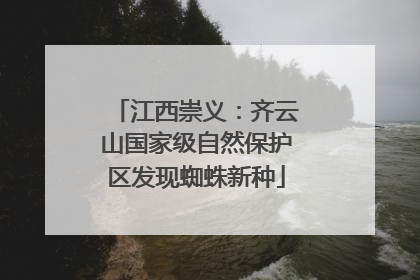 江西崇义：齐云山国家级自然保护区发现蜘蛛新种