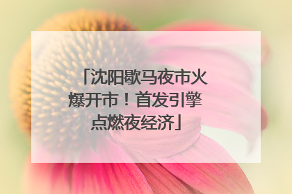 沈阳歇马夜市火爆开市！首发引擎点燃夜经济