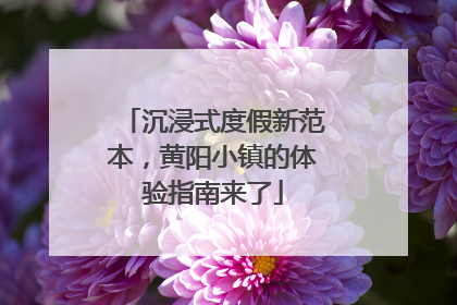 沉浸式度假新范本，黄阳小镇的体验指南来了