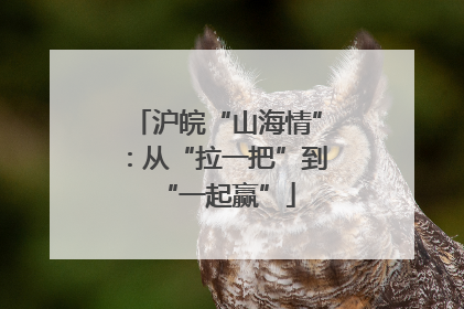 沪皖“山海情”：从“拉一把”到“一起赢”