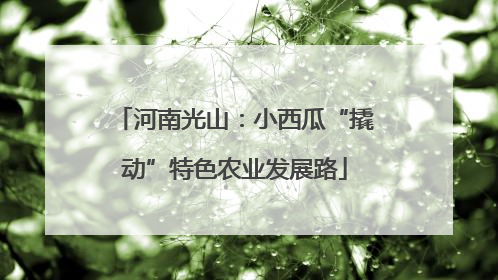 河南光山：小西瓜“撬动”特色农业发展路
