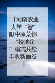河南农业大学“智”献中原菜都 “校地企”模式共绘丰收新画卷